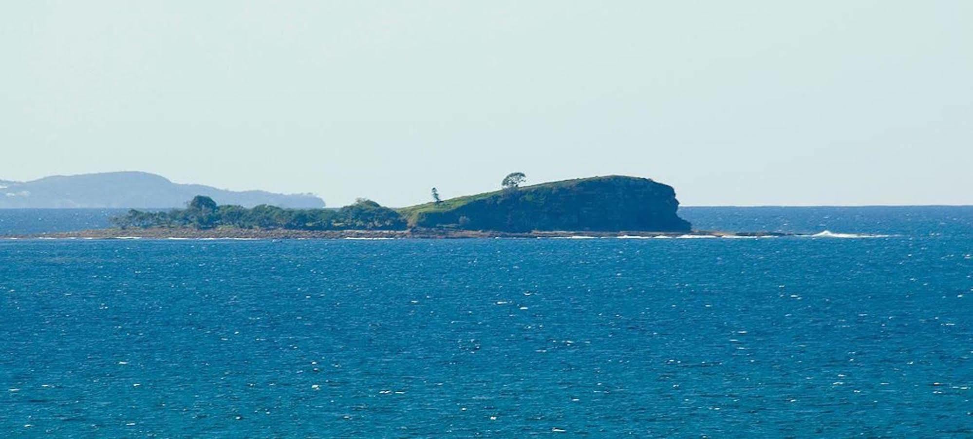 Headland Tropicana Resort Alexandra Headland Esterno foto